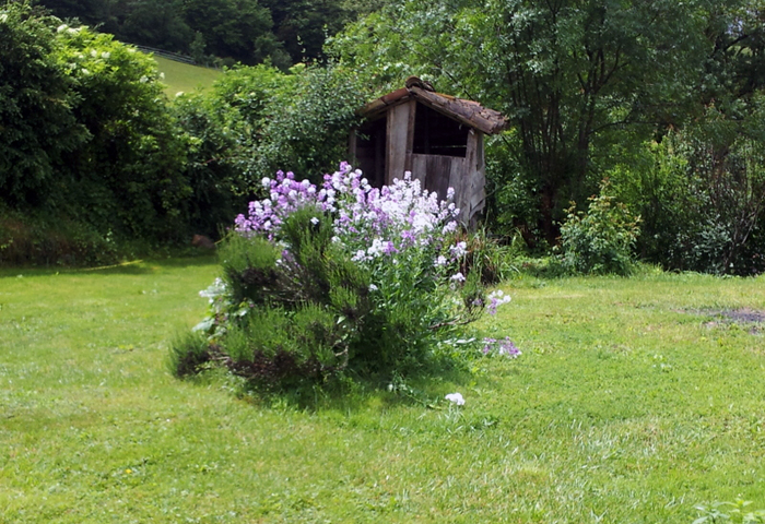 jardin fleuri dans le Tarn à Puycelsi